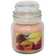 Wholesale - 3oz MAINSTAY APRICOT MANGO CANDLE C/P 6, UPC: 721366013281